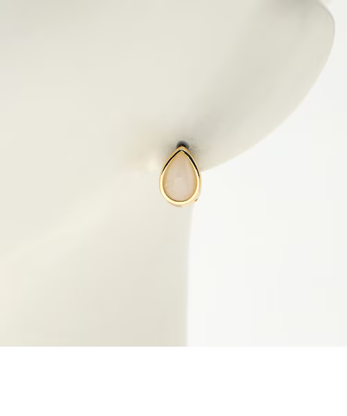 The "Timeless" Gold & Pearl Drop Studs
